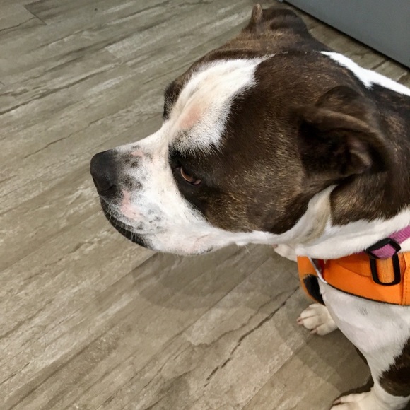 Tops - She’s back home and napping. Thanks everyone.